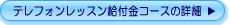 �d�b�p��b�E���t���R�[�X�ڍ�