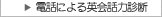 �d�b�ɂ��p��b�͐f�f