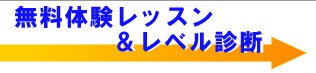 �����̌����b�X�� ���x���f�f