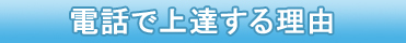 �d�b�ŏ�B���闝�R